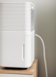 fce36e5b9f8990ff56330dad740b5f3fbc830ceb