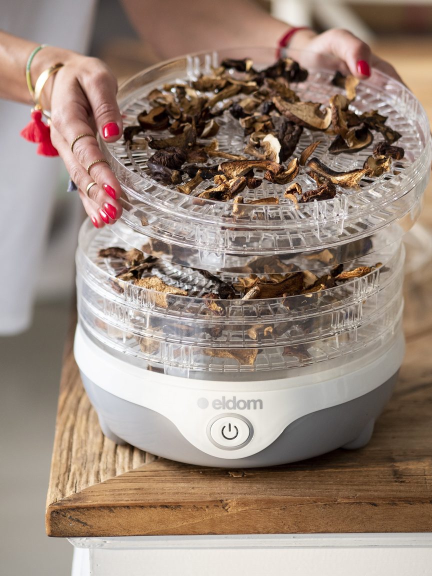 Suszarka do żywności SG110S RINA