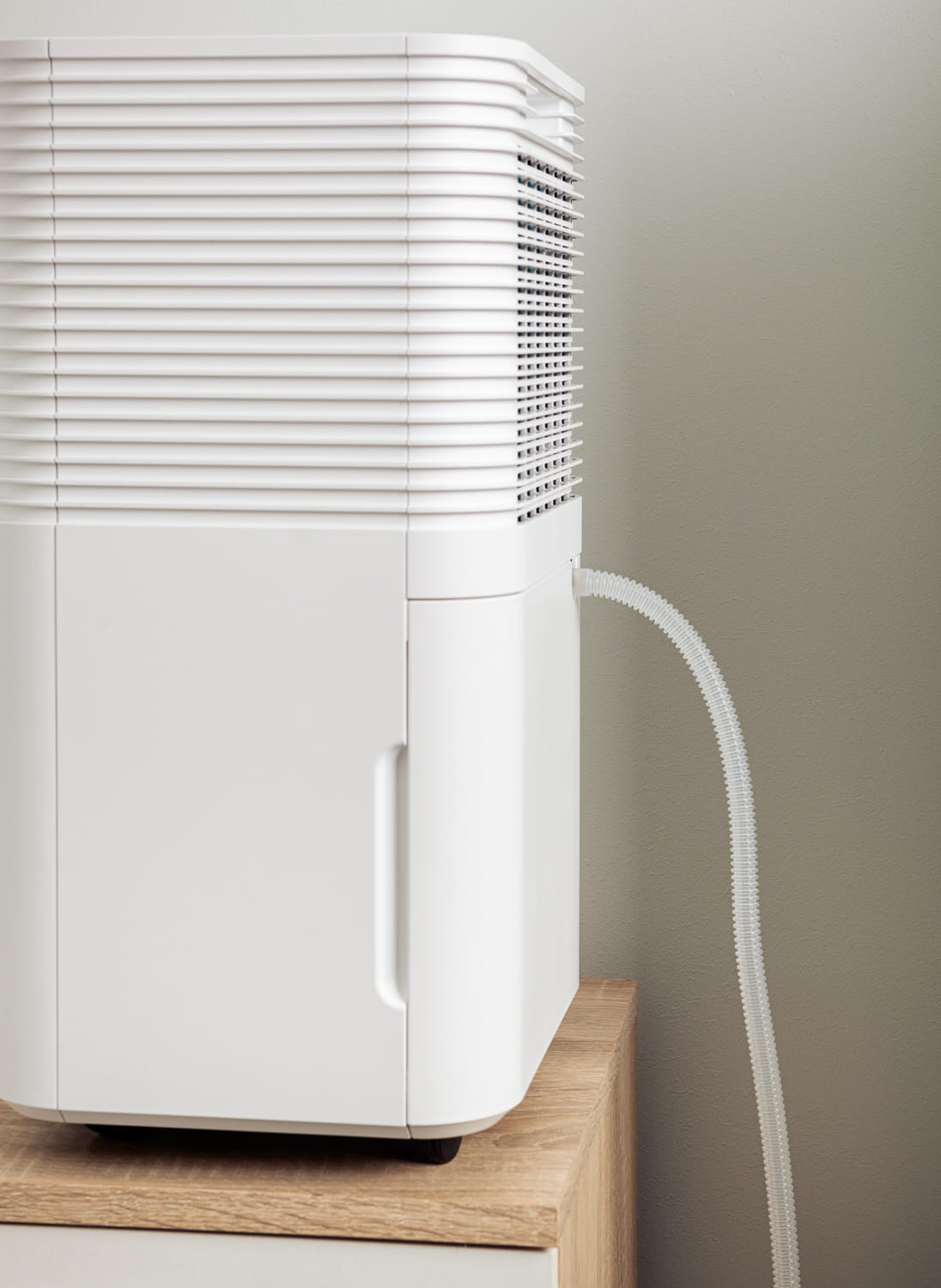 fce36e5b9f8990ff56330dad740b5f3fbc830ceb