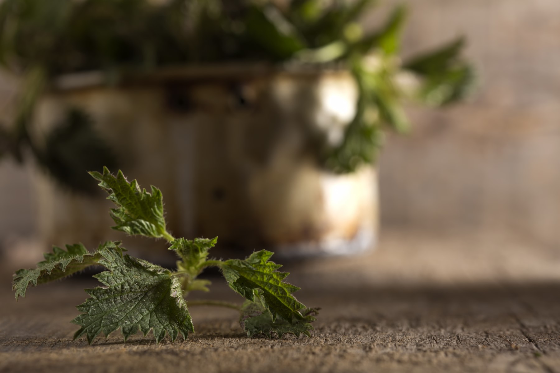 Suszona pokrzywa – 5 sposobów wykorzystania jej w kuchni i pielęgnacji